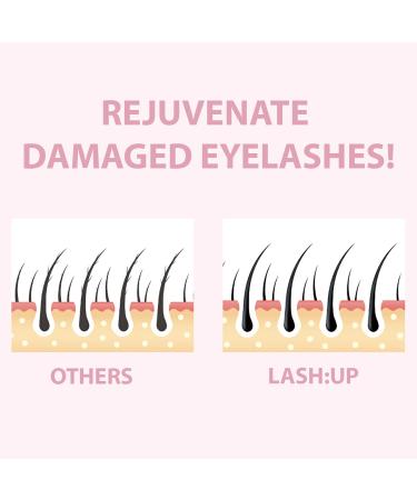 Amber Lash Up Eyebrow Lamination & Eyelash Lift Kit | Step 1 & 2 20ml Tubes | Professional Quality Lash Perm Set by Amber Lash - Buy Online on GoSupps.com