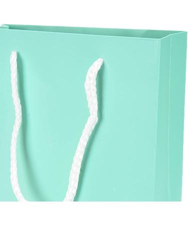 OKAT Paper Gift Bag - 10pcs Pure Color Vertical Bags for Party Gifts | International Shipping Available - Buy Online on GoSupps.com