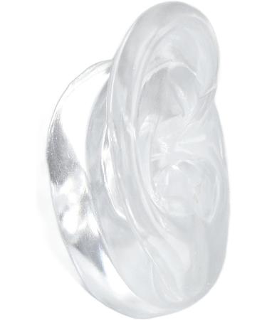 Realistic Human Right Ear Model - Soft Touch Silicone | Clear Structure & Transparent Color for Educational Lessons - International Shipping Available - Buy Online on GoSupps.com