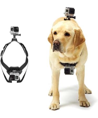DKE&YMQ SHANSHUIART Gopro Dog Harness Mount Soft and Adjustable Dog Harness Gopro for Large Medium and Small Dogs Can Be Used for Chest and Back Fixation Suitable for All Models of Gopro Hero - Buy Online on GoSupps.com