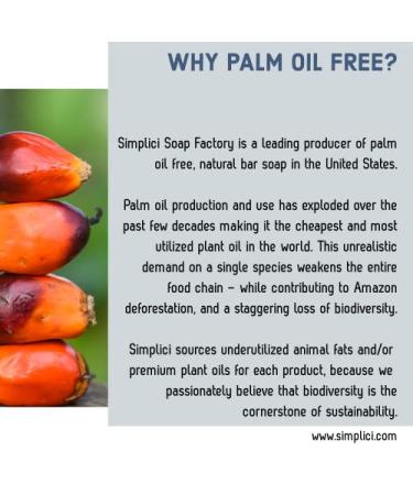 Buy Oatmeal & Honey Bar Soap in Bulk - 7 Bars | Natural Moisturizing Soap for Healthy Skin - International Shipping - Buy Online on GoSupps.com