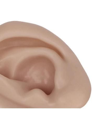 Silicone Ear Model Set - Left and Right Soft Flexible Fake Ear Piercing Practice & Jewelry Display Teaching Tool - Buy Online on GoSupps.com