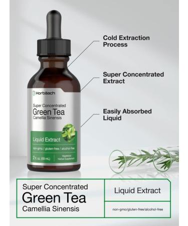 Green Tea Extract 2 fl oz - Super Concentrated Liquid Supplement | Alcohol Free | Vegetarian, Non-GMO, Gluten Free by Horbaach - Buy Online on GoSupps.com