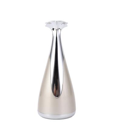 Facial Beauty Massage Machine Facial Beauty Machine Facial Beauty Instrument Vibration Massage Promote Absorption Ion Skin Rejuvenation Device