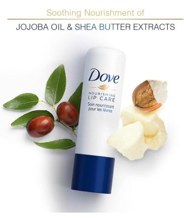 Lip Balm | Dove Nourishing Lipcare 4.8g | Essential Intensiv | Lipstick | PACK OF 6 - Buy Online on GoSupps.com