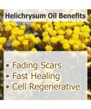 Helichrysum Essential Oil (Helichrysum Italicum) 100% Pure & Natural - Undiluted Uncut Oil 50 ML with Dropper (15 ML with Dropper) Helichrysum 50 ml (Pack of 1) - Buy Online on GoSupps.com
