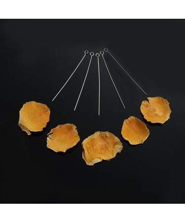 DanLingJewelry 304 Stainless Steel 24-Gauge Eye Pins for Jewelry Making - 50mm - Pack of 100 - Buy Online on GoSupps.com