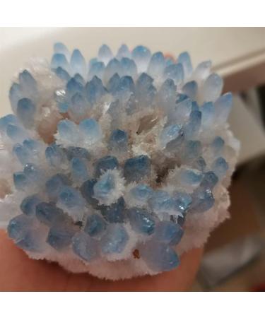 Home Decoration 400-700g Rare Beautiful Blue Ghost Phantom Quartz Crystal Cluster Specimen Stones ZJGIDTEM (Size : 500-600g) - Buy Online on GoSupps.com