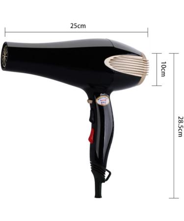 2200W High-Power Hair Dryer Salon Grade Professional Hairdryer Powerful Hair Dryer Fast Blow Dryer Ionic Hairdryer 2 Speed and 3 Heat Setting Powerful DC Motor with Concentrator Nozzle and Comb small - Buy Online on GoSupps.com