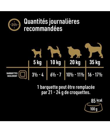Cesar Barquettes Natural Goodness Terrine Wet Dog Food 4 Varieties Pack of 24 trays x 100 g - Buy Online on GoSupps.com