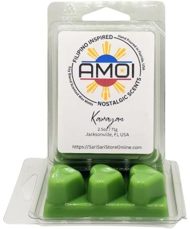 Shop Filipino-Inspired Kawayan Bamboo Scented Candle Wax Melts - Eco-Friendly Home Fragrance for Global Shipping - Buy Online on GoSupps.com
