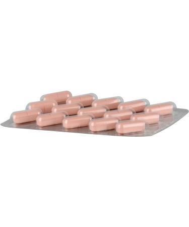 Arginine Plus Vitamin B1 B6 B12 & Folic Acid - 240 Film-Coated Tablets for Optimal Health | Premium eCommerce - Buy Online on GoSupps.com