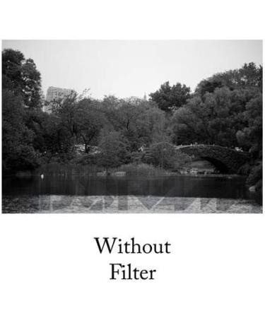 Tiffen 52mm Yellow 8 Filter - Enhance Your Photography with Vibrant Colors - Buy Online on GoSupps.com