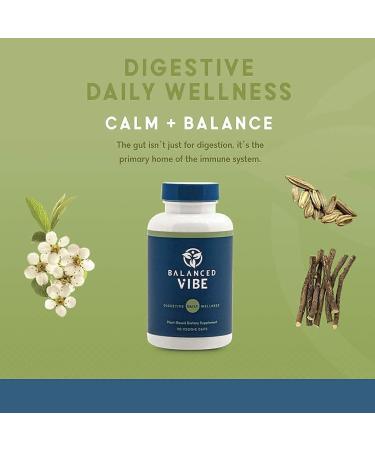 Balanced Vibe Digest Bundle - Herbal Supplement for Digestion & Joint Health - 90 Caps - Buy Online on GoSupps.com