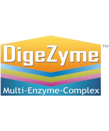 Buy HSN Digzyms 200mg | Vegan Digestive Enzyme Complex | Supports Digestion & Nutrient Absorption | Gluten-Free & Lactose-Free | 120 Tablets - Buy Online on GoSupps.com