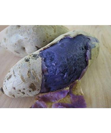 Okinawa Sweet Potato Seeds - Buy Hawaiian Uala Seeds for International Shipping - Buy Online on GoSupps.com