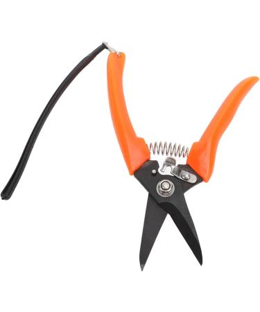 Buy High Carbon Stainless Steel Hoof Shears for Goats | Safe & Durable - International Shipping - Buy Online on GoSupps.com