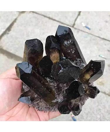 Natural Crystal Rough 500g-650g Natural Black Smoky Crystal Quartz Stone Specimen Cluster 1pc - (Color: 1PC) - Buy Online on GoSupps.com