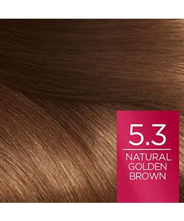 L'Oreal Paris Excellence 5.3 Golden Brown Hair Color - Pack of 3 | International Shipping Available - Buy Online on GoSupps.com