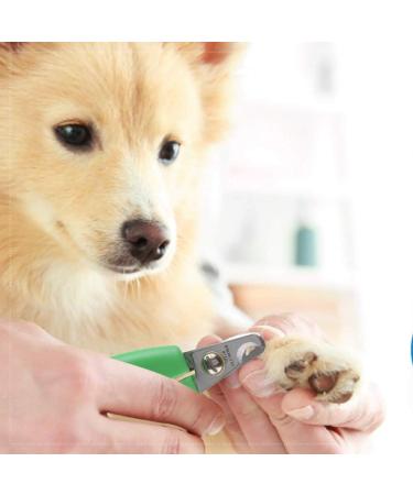 Choice Small Curved Claws - Premium Quality & International Shipping | Perfect for All Your Nail Art Needs - Buy Online on GoSupps.com