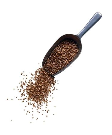 Herbal tea Coriander seed WHOLE 100 GRS Coriandrum sativum