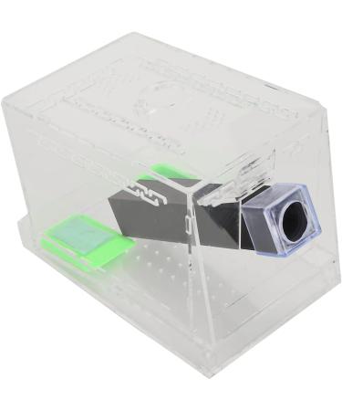 Cricket Keeper and Sturdy Cricket Keeper with Tubes for Home for Office (Small Size) - Buy Online on GoSupps.com