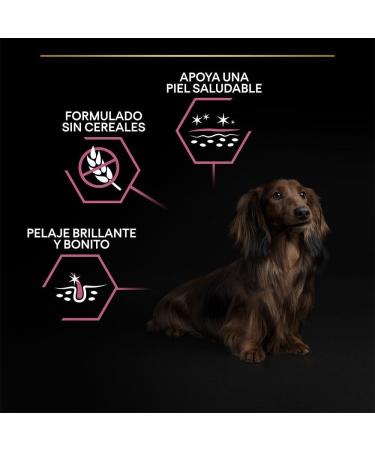 Purina Pro Plan Small and Mini Adult Sensitive Skin Optiderma 3kg - Buy Online on GoSupps.com