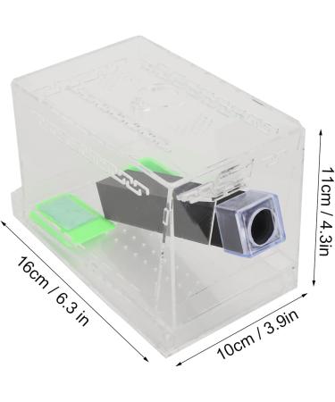 Cricket Keeper Cricket Keeper Tank Box with Feces Layer Acrylic for Observation Of Breeding (22x8.5x4.5cm / 8.7x3.3x1.8in) - Buy Online on GoSupps.com