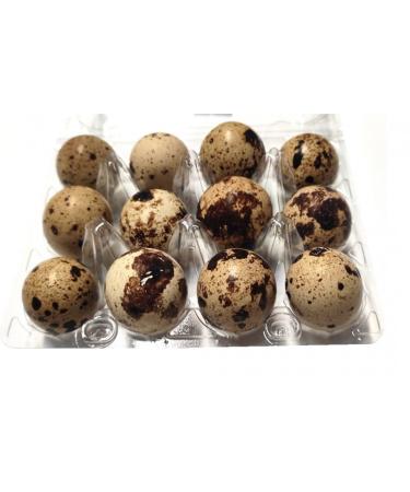 Quail eggs 24 pieces raw fresh quail eggs delicious delicacy edible eggs 240g