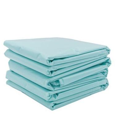 Chi-Enterprise 30x hygiene bag for detox-footbath device I against discoloration & deposits I for foot electrolysis bath bioenergymis-ion cleanser-hydrosana and much more.I footwanne-protector 30 pieces single