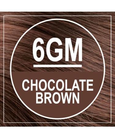 Naturtint Permanent Hair Color 6GM Chocolate Blonde - Ammonia Free, Vegan, Cruelty Free (Pack of 1) - Buy Online on GoSupps.com