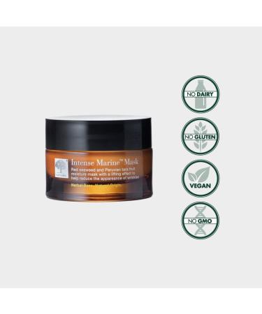 New Nordic - Intense Marine Mask - Hydrating Face Mask - Red Algae Peruvian Tara Apricot Kernel Oil - 50 ML - Buy Online on GoSupps.com