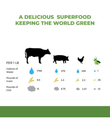 Mighty Cricket Protein Powder. 20g Clean Prebiotic Cricket Protein. No Sugar Low Carbs Gluten & Dairy Free. Keto & Paleo 100% Natural Ingredients. Chocolate 1 lb (Pack of 1) Chocolate 1 Pound (Pack of 1) - Buy Online on GoSupps.com