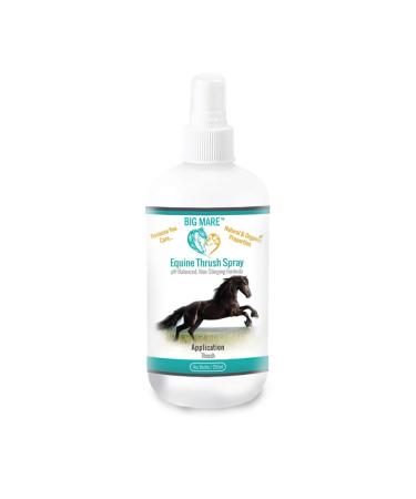 Big Mare Horse Thrush Spray | Clinically Proven Effective On Thrush. No Sting No Stain Formulation. Veterinary Approved & Recommended.