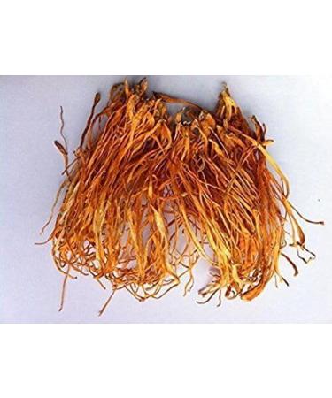 WENXUANSU:3 Pound (1362 grams) Special fungus Cordyceps Flower from Yunnan China