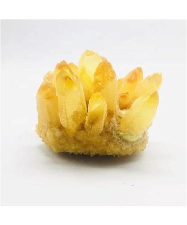 400g-700g Natural Yellow Phantom Quartz Stone Crystal Cluster for 1pc PEIQIYIN Stone Mineral Specimen (Size : 1PC 400G-500G) - Buy Online on GoSupps.com