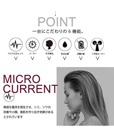 Buy Beauty Lulu Face Roller - Micro Current Facial Roller Waterproof & No Charging Needed for All Skin Types - Buy Online on GoSupps.com