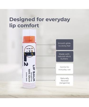 K ZMETIK L2 Tangerine Lip Balm | Natural lip Moisturizing Care With Shea Butter Cocoa Butter Beeswax & Almond Oil | Hydrating Repair Formula For Soft Smooth & Healthy Lips - Buy Online on GoSupps.com
