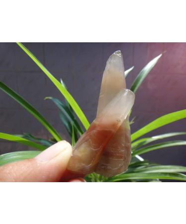 Natural Clear RED Quartz Crystal Point Rough GEM ningxiao