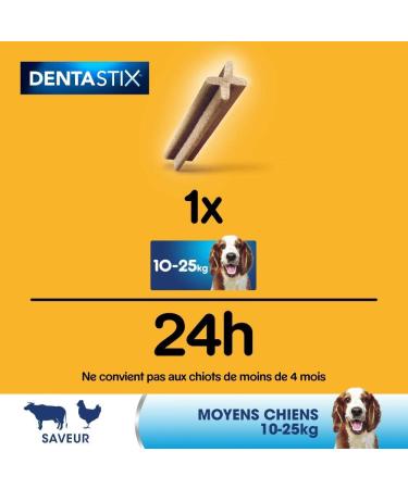 Buy Pedigree Dentastix for Dogs 3.36 kg - Chewy Dental Treats for Fresh Breath & Healthy Teeth | International Shipping Available - Buy Online on GoSupps.com