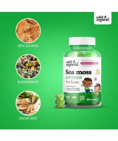 YHN Sea Moss Gummies for Kids - 60 Ct | Thyroid & Immune Support - Buy Online on GoSupps.com