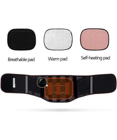 Dorbi Back Support Belt XXL - Removable Lumbar Pad for Pain Relief in Herniated Disc Scoliosis & Sciatica for Men & Women - Buy Online on GoSupps.com