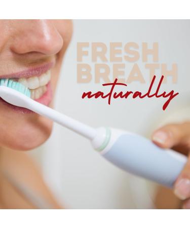 Red Seal Herbal & Mineral Fluoride Free Lemon Toothpaste - Mint Free Toothpaste for Adults - Vegan Friendly Cruelty Free No Artificial Colors or Flavors NATRUE Certified Natural SLS Free 3.53 oz Natural Lemon 3.5 Ounce  - Buy Online on GoSupps.com