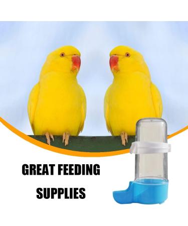 Pet Bird Cage Food Feeder Bird Water Bottle Parrot Automatic Water Feeder Water Drinker Food Feeder Waterer Clip Feeder Cage Accessories for Parrot Budgie Lovebirds Cockatiel Parakeet Cockatoo - Buy Online on GoSupps.com
