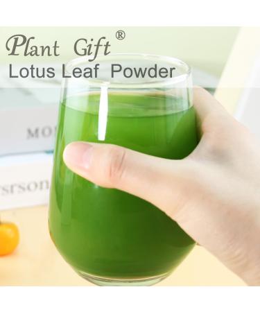 Plant Gift 100% Pure Lotus Leaf Flour Natural Powder of Lotus Leaves Great Taste for Drinks Smoothies Baking Cookies Cakes and Drinks 100g/3.25oz - Buy Online on GoSupps.com