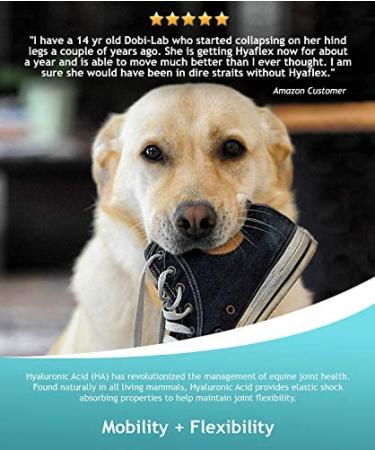 Hyalogic HyaFlex Hyaluronic Acid for Dogs - 1 oz (30 ml) - Joint Support & Hydration - Buy Online on GoSupps.com