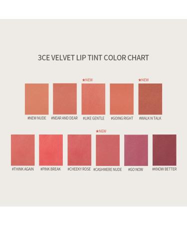 3CE Velvet Lip Tint in Taupe - Long-lasting and Intensely Pigmented - Buy Online on GoSupps.com