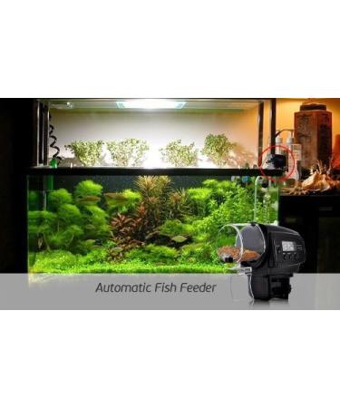 2009D BW Aquarium Auto Fish Feeder with LCD Display (Anti-Jam Design) - Shop Now - Buy Online on GoSupps.com