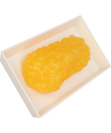 Body Fat Replica Fatty Replica Model Fat Demonstration Model with Exquisite Workmanship Simulated Appearance for Nutritionist Science Course Plastic Material - Buy Online on GoSupps.com