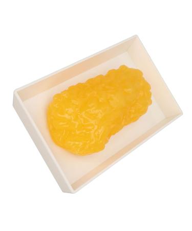 Fat Replica Human Fatty Tissue Model Mellow Demonstration Plastic Smooth for Clinics - Buy Online on GoSupps.com